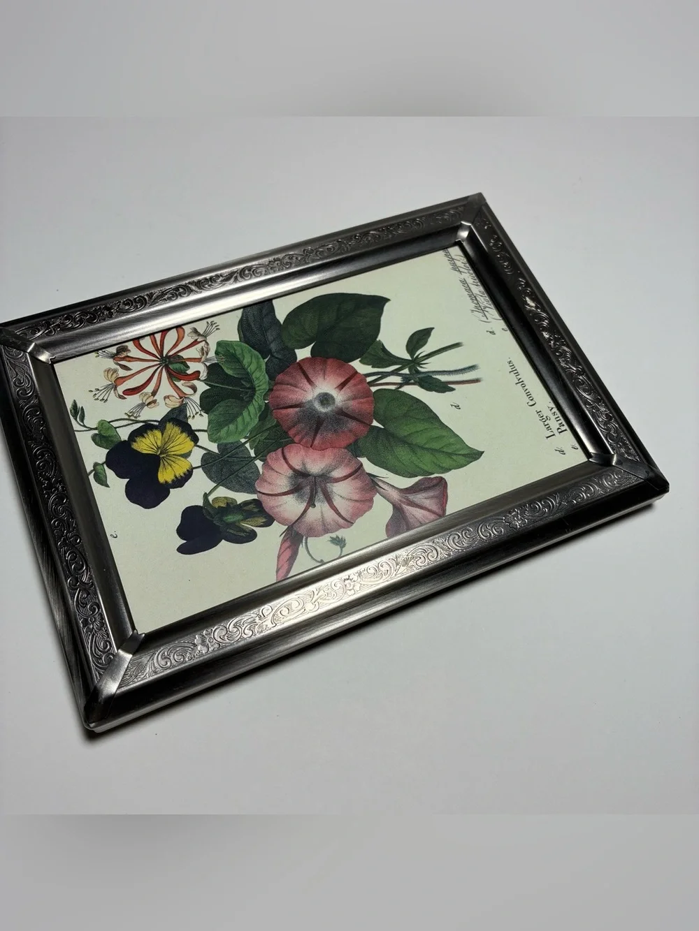 Vintage Silver Aluminum Etched Frame Botanical Floral Print Freestanding 7x5